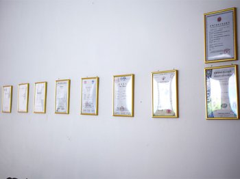Certificate wall